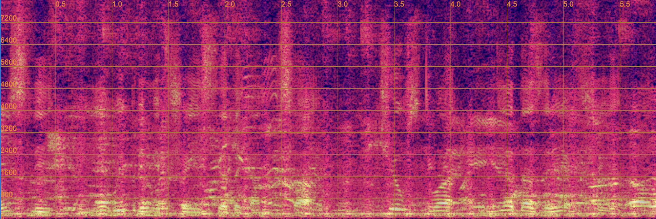 Noisy Spectrogram